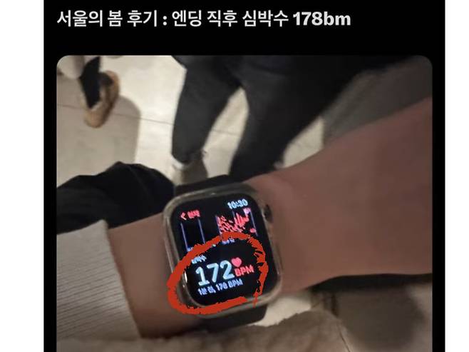 SNS에 올라온 서울의봄 챌린지 인증샷 [인스타그램 캡쳐]