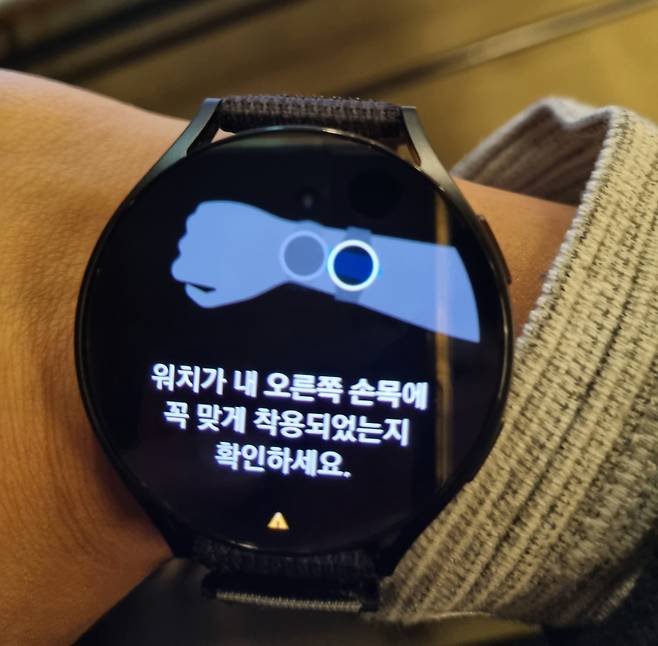 SNS에 올라온 서울의봄 챌린지 인증샷 [인스타그램 캡쳐]