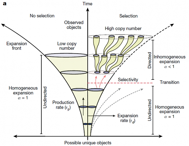 빅뱅 이후 우주에서 가능한 대상(objects)의 수는 시간이 흐를수록 늘겠지만, 선택이 일어나지 않는다면 복잡도가 커질수록 복제수(copy number)는 적어질 것이다(왼쪽). 반면 선택이 일어났다면 관련된(진화) 대상의 복잡성이 커지더라도 복제수가 여전히 많게 유지될 수 있다. 생명체가 있는 지구에서 보이는 현상이다. 네이처 제공