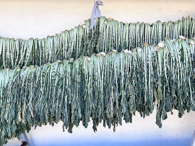 농가맛집 무꾸의 식재료인 무청. 이것을 음지에서 잘 말리면 시레기가 된다. 사진제공|트래블팀