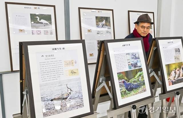 오는 12월까지 세계 다양한 나라의 새와 관련된 화폐가 전시되고 있는 '화폐속의 새' 전시. 윤원규기자