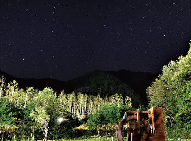 칠흑 같은 어둠 사이로 무수한 별이 쏟아지는 하이힐링원의 밤 풍경. 11~2월은 한반도에서 별을 관측하기 가장 좋은 계절이다. [하이힐링원]