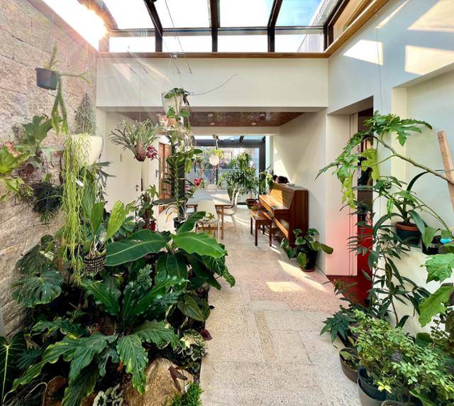 부엌에서 바라본 내부. 중앙에 천창을 설치해 온실과 같은 분위기의 내부 공간을 구현했다. 텐들러 다니엘 소장 제공