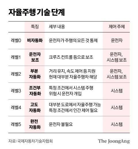 김영희 디자이너
