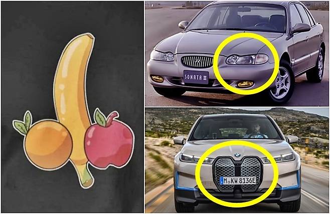모듬 과일(?),  쏘나타3, BMW iX [사진출처=온라인 커뮤니티, 매경DB, BMW]