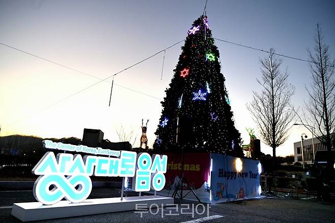 음성  군민의 화합과 평화 기원하는 성탄트리 점등