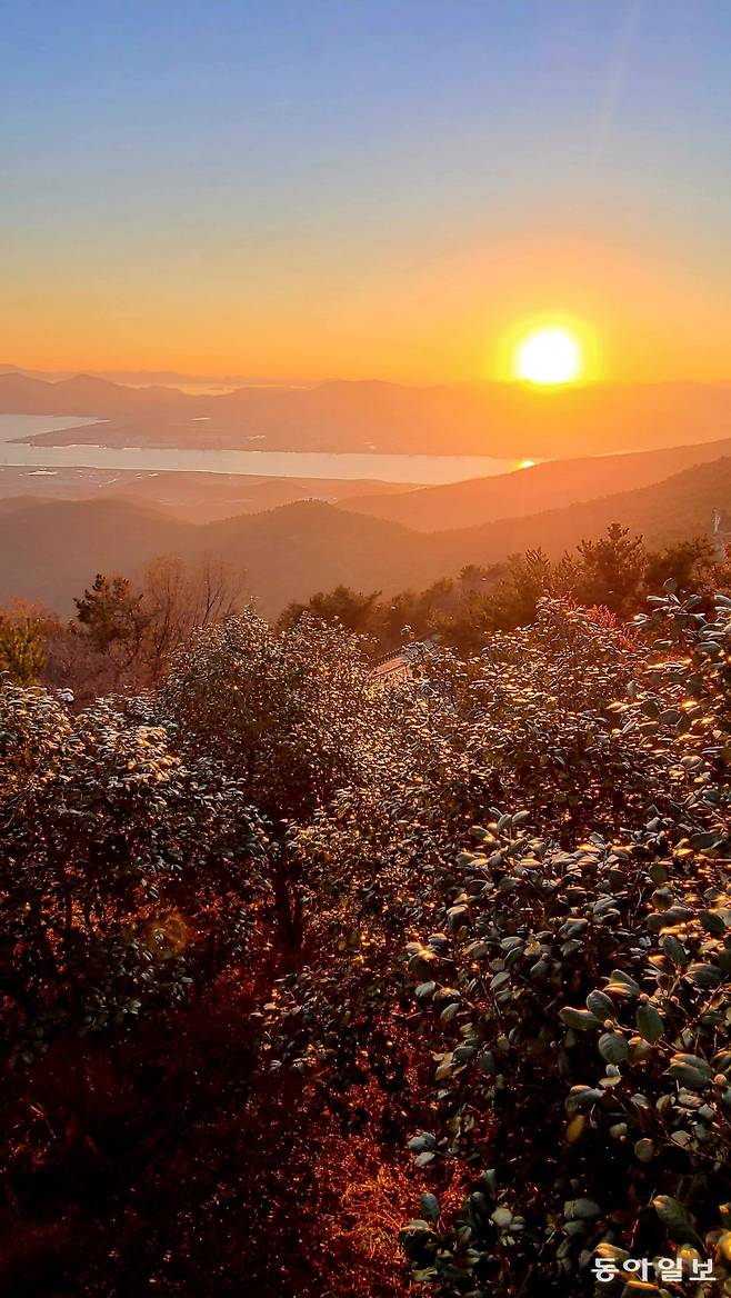 전남 광양시 구봉산 전망대에서 바라본 일몰 풍경. 햇빛을 받아 영롱히 반짝이는 동백잎이 인상적인 이곳은 야경 명소로도 인기가 높다.