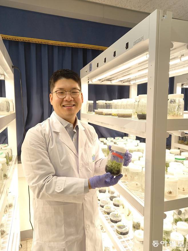 김연준 파이토리서치 대표이사가 한국농수산대 원예학과 조직배양실에서 조직배양으로 키운 식물을 보여주며 세균 감염의 위험성에 대해 설명하고 있다. 전주=허진석 기자 jameshur@donga.com