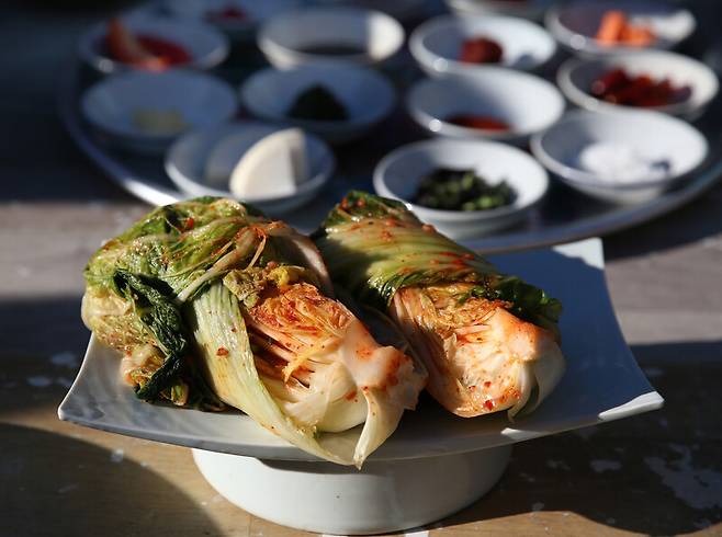 지난달 20일 전남 장성군 천진암에서 정관 스님이 담근 김치. 박미향 기자