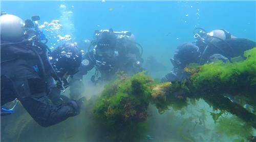 수중 정화 활동하는 회원들 [환동해특수대응단 박두철 소방장 제공. 재판매 및 DB 금지]