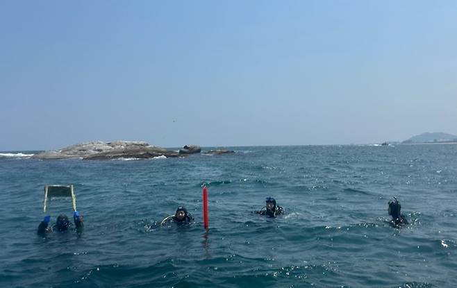 수중 정화 활동 중인 회원들 [환동해특수대응단 박두철 소방장 제공. 재판매 및 DB 금지]