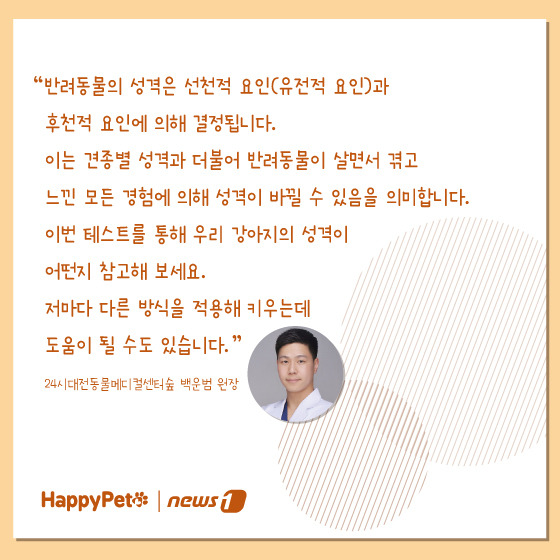 반려견 성격 유형 펫카드