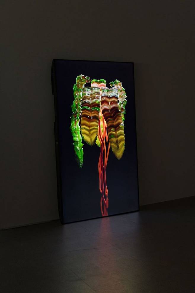 Potting, 2023_Photo (c)Jinsol Kim. [사진제공 = 전시공간 리플랫]