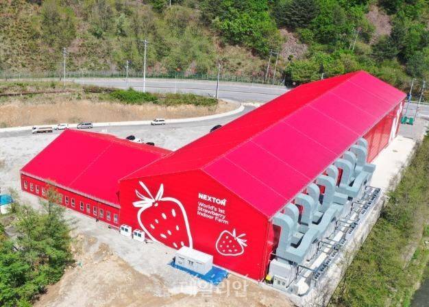 태백 에코잡시티 딸기 스마트팜 외부 전경.ⓒ한국광해광업공