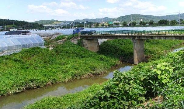 [대구=뉴시스] 대구 달성군 다사읍 강정 상수원보호구역 내 농경지 유출수 채수 지점. (사진 = 대구지방환경청 제공) 2023.12.4. photo@newsis.com  *재판매 및 DB 금지