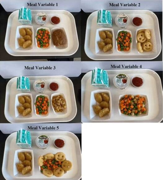 아이들에게 치킨 너겟, 혼합 완두콩과 당근, 감자 또는 빵으로 구성된 급식을 '몇 가지 다른 방식'으로 제공했다.  [사진=데일리메일 캡쳐]