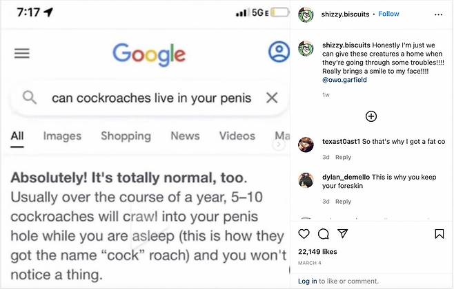 바퀴벌레가 성기에 살 수 있나요? 라는 구글 질문과 답변은 누군가 의도적으로 가짜 정보를 퍼뜨린 것으로 추측된다는 것이 전문가들의 의견이다. [사진=영국 해충박멸업체 멜린 MERLIN 캡처]