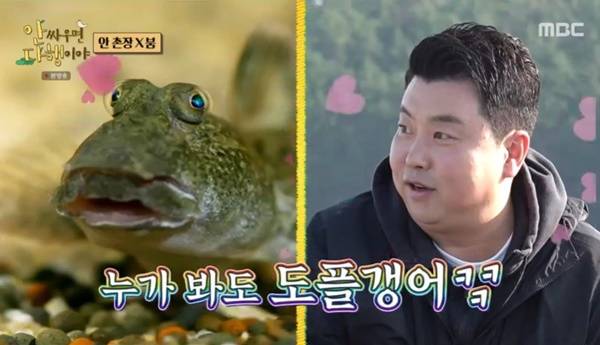 MBC ‘안싸우면 다행이야’ 캡처