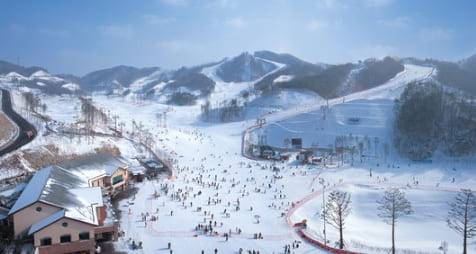 온라인 커뮤니티