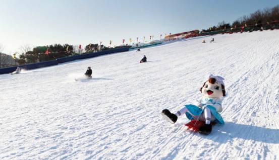 온라인 커뮤니티