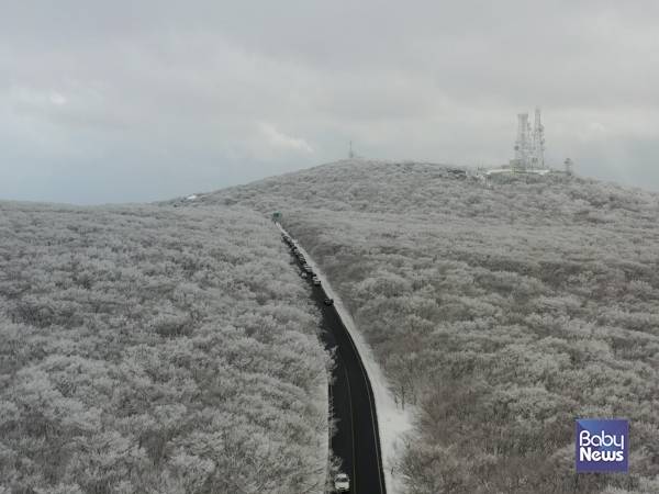1100도로의 아름다운 설경. ⓒ김재원
