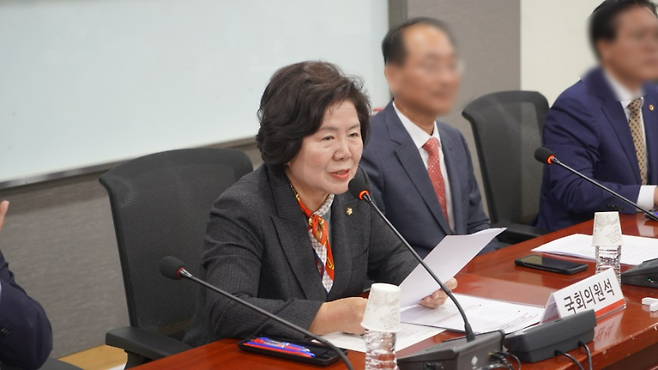 서정숙 국민의힘 원내부대표 (사진, 서정숙 의원 블로그)