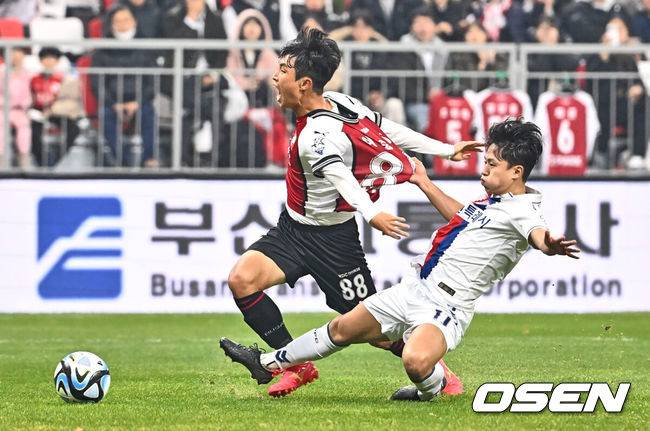 [OSEN=부산, 이석우 기자]