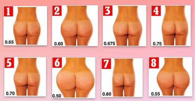 이미지는 컴퓨터로 만든 1위 부터 8위까지 여성의 가장 매력적인 엉덩이-허리 비율 형태. (실제 사람이 아니다) 사진=데일리메일 갈무리