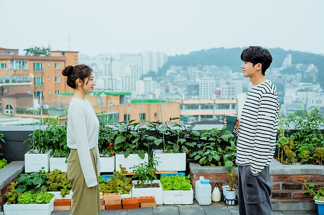 박신혜, 박형식 주연 ‘닥터 슬럼프’ 포스터. JTBC 제공