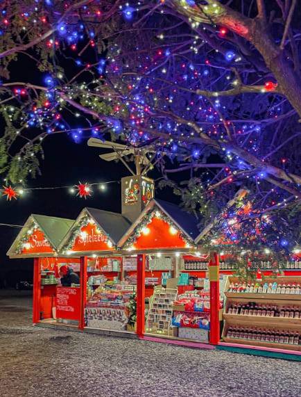 온라인 커뮤니티