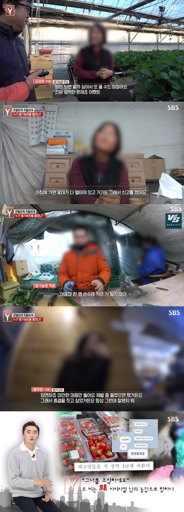 사진=SBS '궁금한 이야기 Y'