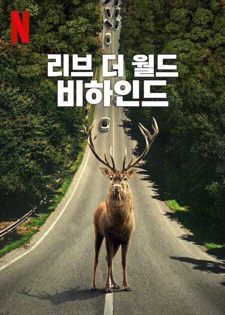 사진=넷플릭스 제공