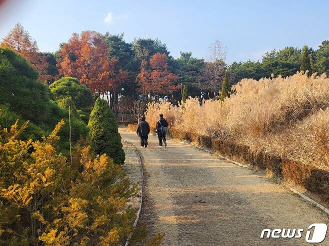 9일 대전 한밭수목원에서 나들이객들이 산책을 하고 있다. 2023.12.9 /뉴스1 ⓒ News1 최형욱 기자
