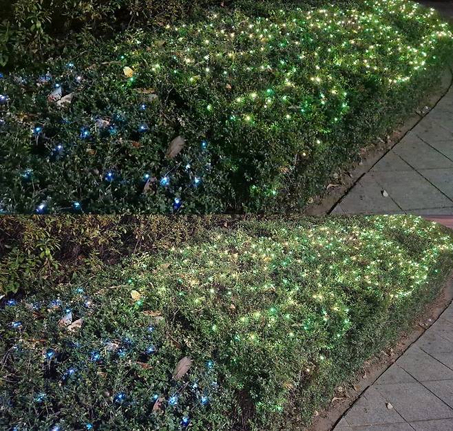 갤럭시S23 FE(위)와 갤럭시S22+로 각각 찍은 사진. 사진=구자윤 기자