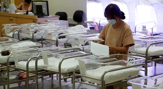 서울 시내 한 병원의 신생아실.  한국은 역대 최저출산 문제에 직면해 있다. [한주형 기자]