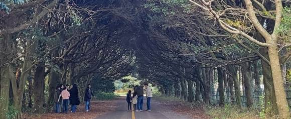 성클라라수도원으로 가는 길에서 사람들이 인생샷을 찍고 있다. 제주 강동삼 기자