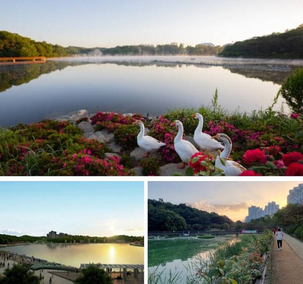 온라인 커뮤니티