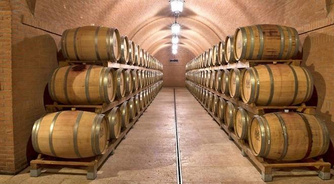 /사진제공=에프엘코리아 수입사