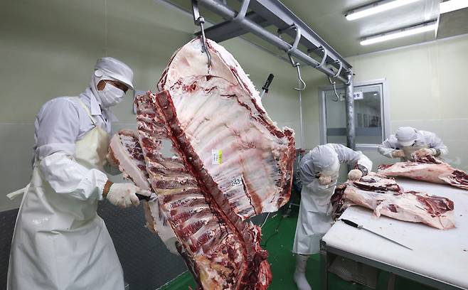 농협유통 청주미트센터 육류 발골·정형 작업장에서 안종찬 반장이 소 지육에서 등심을 발골하고 있다.
