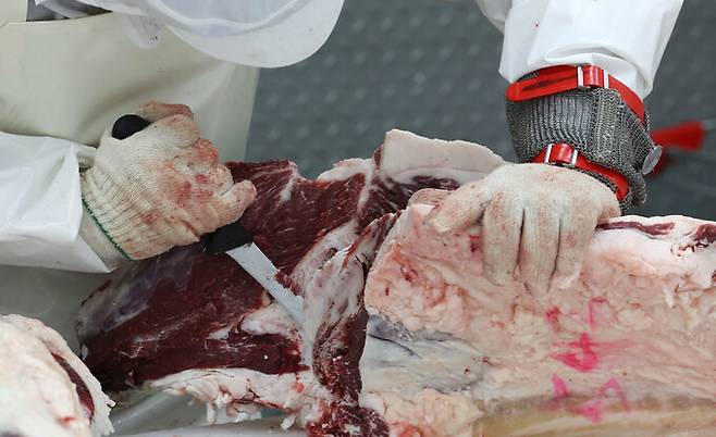 작업자들이 안전 장갑을 착용하고 발골 작업을 하고 있다.