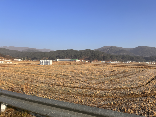 8일 오전 경남 거창군의 추수가 끝난 논 전경. 이 논에서는 2월 조사료(동물 사료용 곡물), 5~6월 벼를 이모작하는데 비료 대란이 본격화할 조짐에 농민들이 긴장하고 있다. 거창=우영탁 기자