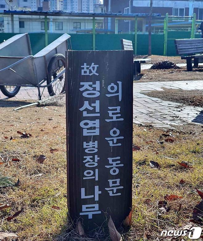 광주 동신고 체육관 앞에 세워진 정선엽 병장 기념식수 표지목.2021.12.13./뉴스1