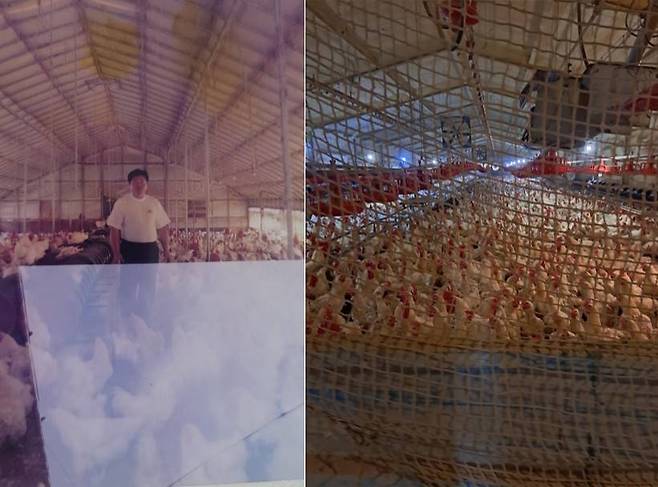 조한육 동탄농장 대표의 과거 사진(좌)와 양계장 사진(우) / 출처=동탄농장