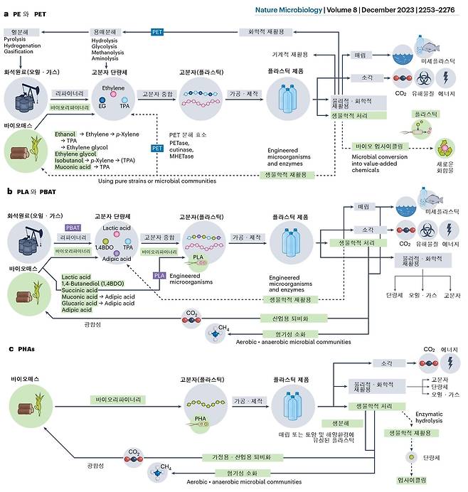 미생물 활용 기술을 포함한 플라스틱 라이프 사이클 [KAIST 제공. 재판매 및 DB 금지]