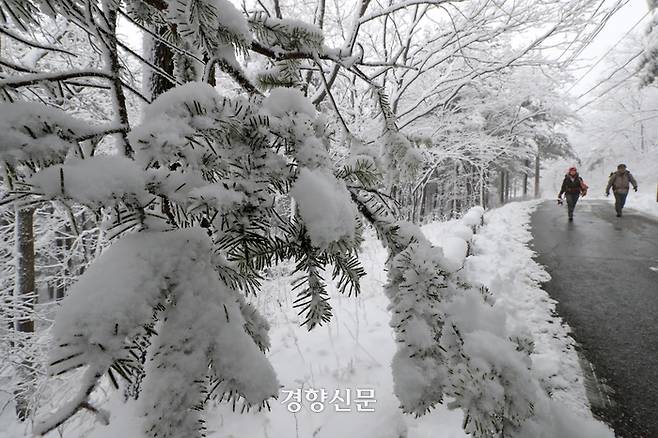 강원 산간 지역을 중심으로 많은 눈이 내린 12일 강원 평창군 선자령 등산로를 찾은 등산객들이 하얗게 눈 쌓인 길을 걷고 있다.