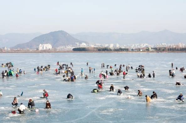 온라인 커뮤니티