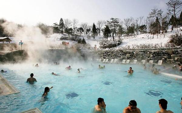 온라인 커뮤니티