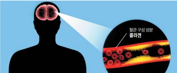 클립아트코리아 제공