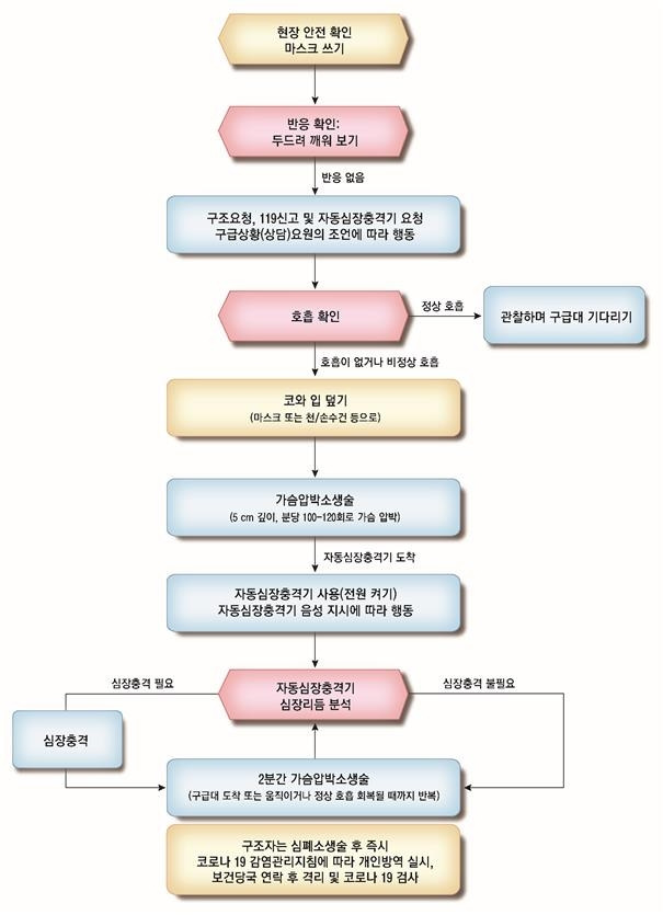 코로나19 유행시 일반인 구조자용 심폐소생술 [질병관리청 제공]