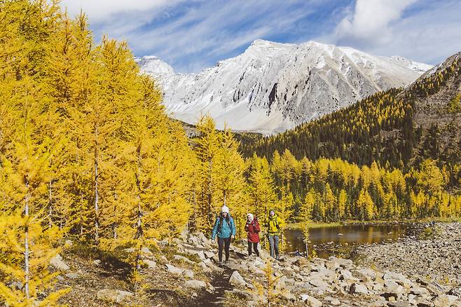 밴프 국립공원 가는길, 카나나스키스(Kananaskis)